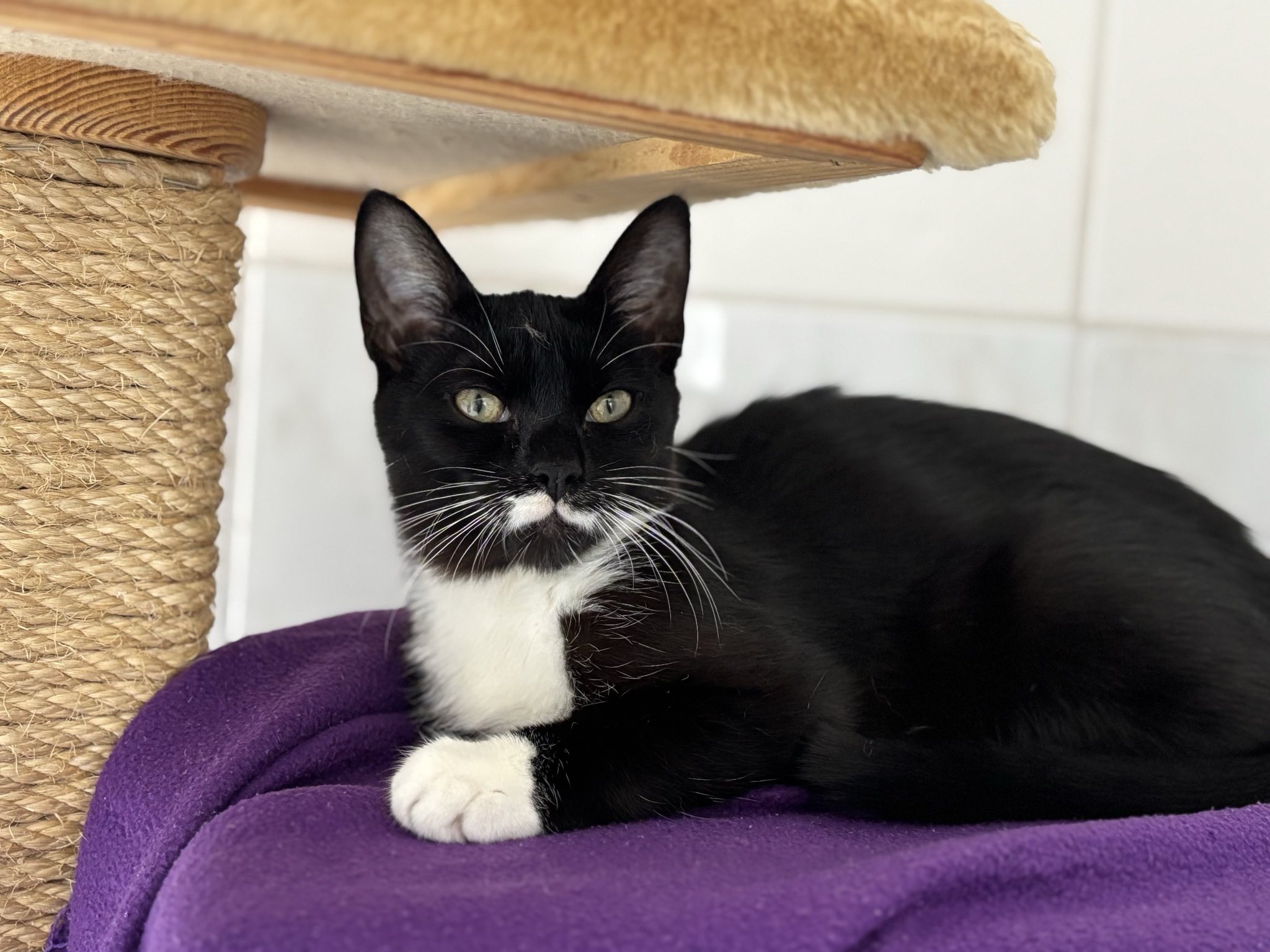 Carlotta_signal-2025-04-21-130612.jpeg Carlotta_signal-2025-04-21-130612.jpeg